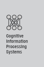 Cognitive Information Processing Systems